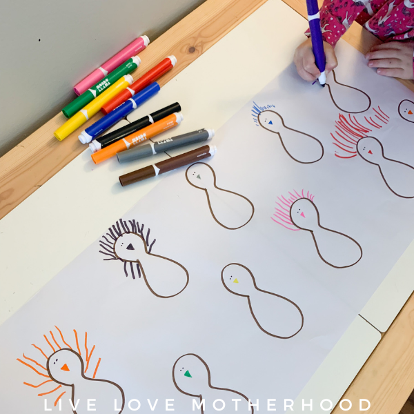 Turkey Feather Activity